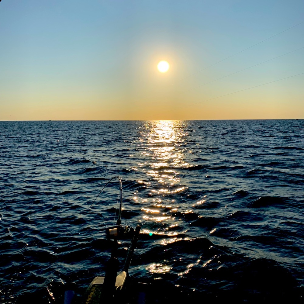 Meet your Posher, Trevor